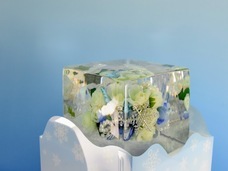 株式会社小野田商店のプレスリリース画像5