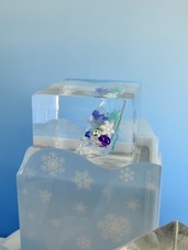 株式会社小野田商店のプレスリリース画像6