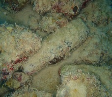 水縹のプレスリリース画像3