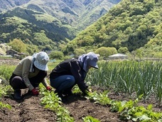 KICQ DETOX CURRYのプレスリリース画像2