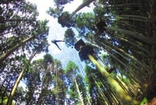 株式会社森の香りのプレスリリース画像1