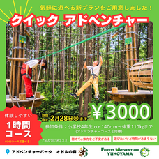 株式会社森の香りのプレスリリース画像1