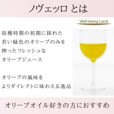 株式会社 Well-being Landのプレスリリース画像4