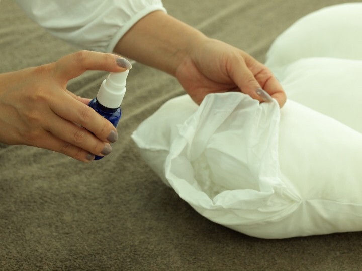 株式会社プレジールのプレスリリース画像7