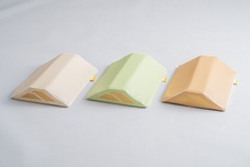 株式会社プレジールのプレスリリース画像2