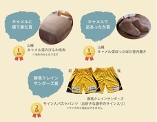 株式会社プレジールのプレスリリース画像7