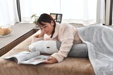 株式会社プレジールのプレスリリース画像3