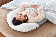 株式会社プレジールのプレスリリース画像1