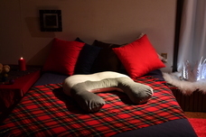 株式会社プレジールのプレスリリース画像8