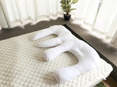 株式会社プレジールのプレスリリース画像1