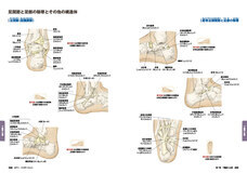 株式会社医道の日本社のプレスリリース画像4