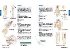 株式会社医道の日本社のプレスリリース画像3