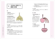 株式会社医道の日本社のプレスリリース画像2