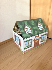 株式会社アースダンボールのプレスリリース画像8