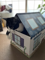 株式会社アースダンボールのプレスリリース画像1