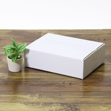 株式会社アースダンボールのプレスリリース画像11