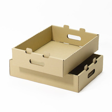 株式会社アースダンボールのプレスリリース画像5