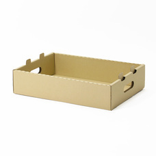 株式会社アースダンボールのプレスリリース画像4