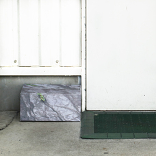 株式会社アースダンボールのプレスリリース画像7