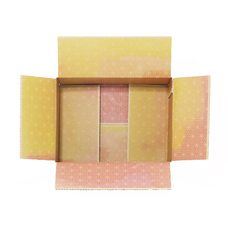 株式会社アースダンボールのプレスリリース画像9