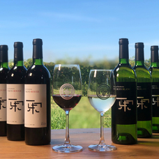 八王子ワインフェスティバルのプレスリリース画像6