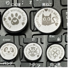 株式会社モアベターライフ研究所のプレスリリース画像1