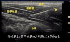 名古屋麻酔科クリニックのプレスリリース画像3