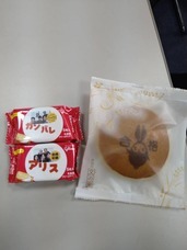 専門学校アリス学園のプレスリリース画像5