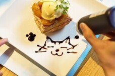 株式会社 カメリアプランナーのプレスリリース画像4