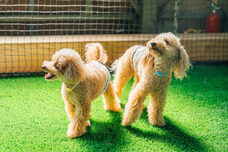 株式会社 カメリアプランナーのプレスリリース画像10