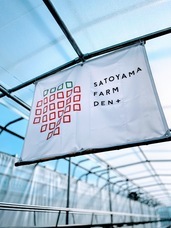 扉ホールディングス株式会社のプレスリリース画像2