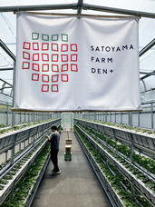 扉ホールディングス株式会社のプレスリリース画像4