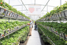 扉ホールディングス株式会社のプレスリリース画像10