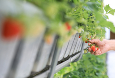 扉ホールディングス株式会社のプレスリリース画像11