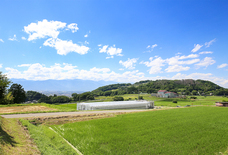 扉ホールディングス株式会社のプレスリリース画像12