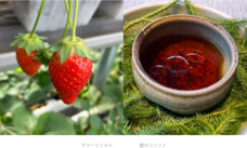 扉ホールディングス株式会社のプレスリリース画像5