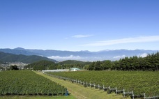 扉ホールディングス株式会社のプレスリリース画像4