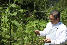 扉ホールディングス株式会社のプレスリリース画像5