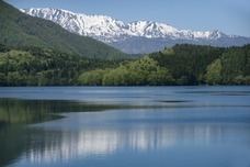 扉ホールディングス株式会社のプレスリリース画像2