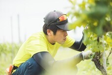 扉ホールディングス株式会社のプレスリリース画像3