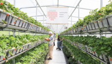 扉ホールディングス株式会社のプレスリリース画像6