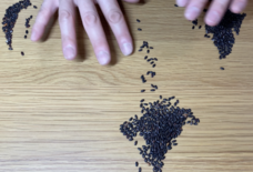 Só Aquiのプレスリリース画像4