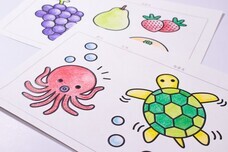 株式会社オフィスサニーのプレスリリース画像8