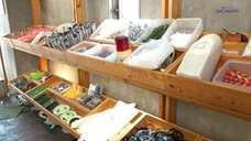 株式会社矢動丸プロジェクトのプレスリリース画像1