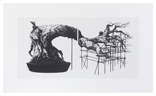 ギャラリー枝香庵のプレスリリース画像4