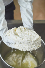 有限会社 戸田乳業のプレスリリース画像5