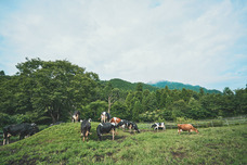 有限会社 戸田乳業のプレスリリース画像6