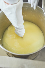 有限会社 戸田乳業のプレスリリース画像7