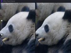 株式会社HitPawのプレスリリース画像1