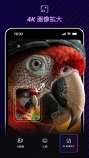 株式会社HitPawのプレスリリース画像2